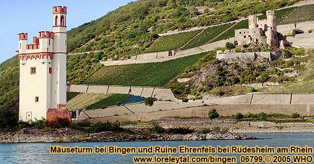 Museturm bei Bingen am Rhein gegenber der Ruine Ehrenfels