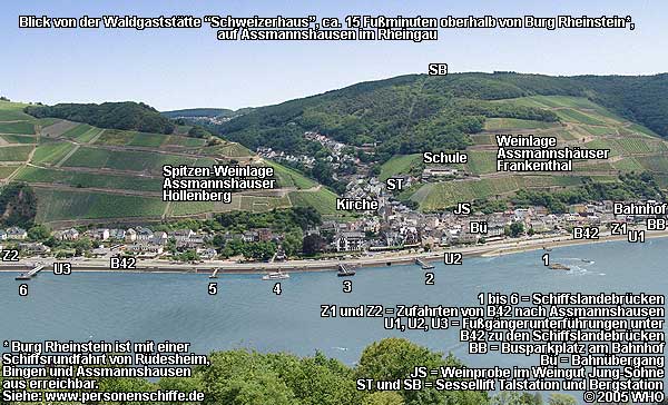 Assmannshausen Rheingau Rhein Luftaufnahme