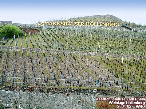 Assmannshausen am Rhein. Weinlage Hllenberg.