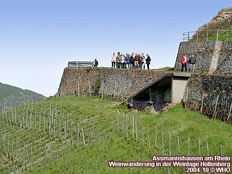 Assmannshausen am Rhein. Weinwanderung in der Weinlage Hllenberg.