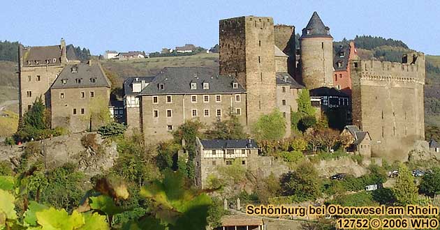 Schnburg bei Oberwesel am Rhein. Blick von Westen aus den Weinbergen im Engehller Tal.