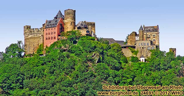 Schnburg bei Oberwesel am Rhein. Blick von Sdosten vom Rheinufer.