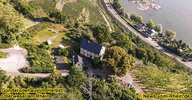 Im Weinort Oberwesel im Weinbaugebiet Mittelrhein, nahe der Loreley, bietet ein Weingut eine gefhrte Weinwanderung durch die Oberweseler Weinberge zur Rheinhhe und zurck nach Oberwesel an. Verbunden mit der Weinbergswanderung ist eine Weinprobe an einem Aussichtspunkt mit Blick auf Oberwesel, seiner mittelalterlichen Stadtmauer, seinen Stadttrmen und der Liebfrauenkirche.