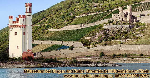 Ruine Ehrenfels bei Rdesheim am Rhein, im Vordergrund der Museturm bei Bingen am Rhein