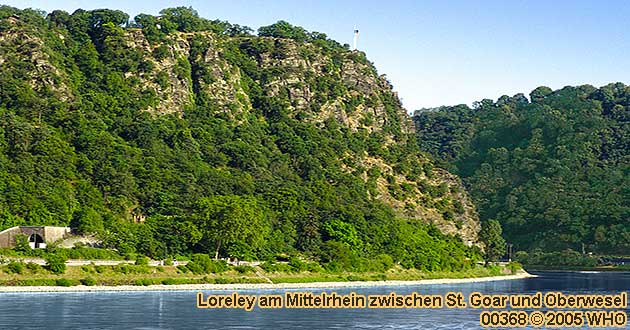 Lorelei Loreley St. Goarshausen Rhein Loreleyfelsen Mittelrhein