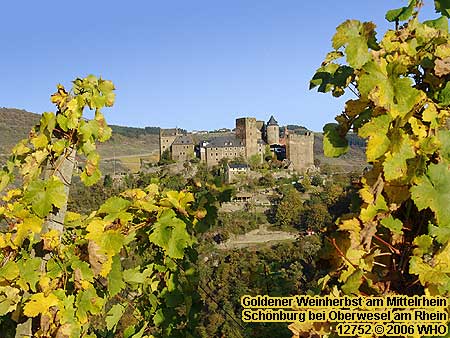 Schnburg bei Oberwesel am Rhein. Blick von Westen aus den Weinbergen im Engehller Tal.