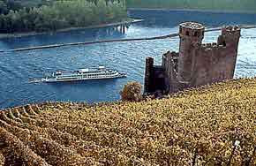 Burg Ehrenfels bei Rüdesheim am Rhein - Foto: Verkehrsamt Rüdesheim