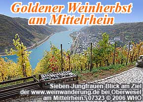Ziel der geführten Weinwanderung am Sieben-Jungfrauen-Blick bei Oberwesel am Rhein
